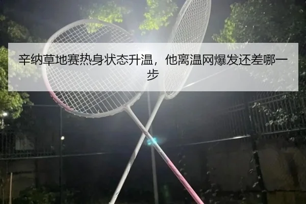 辛纳草地赛热身状态升温，他离温网爆发还差哪一步 - QQ